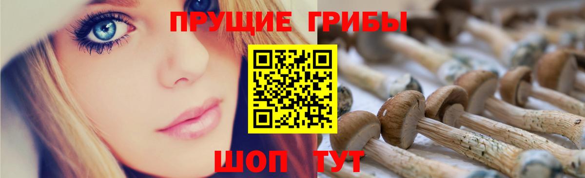 Галлюциногенные грибы MAGIC MUSHROOMS  Вход с VPN  Заволжье  Галлюциногенные грибы Cubensis 